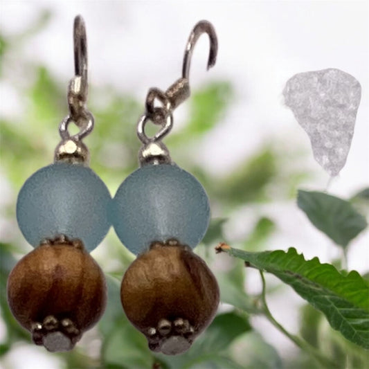 Glass Wood Earrings
